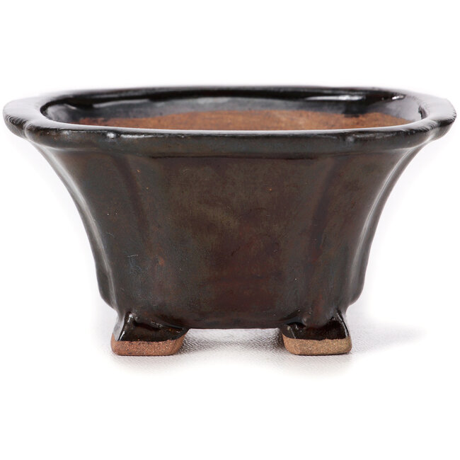 Maceta de bonsái cuadrada marrón de Seto - 90 x 90 x 45 mm