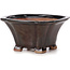 Square brown bonsai pot by Seto - 90 x 90 x 45 mm