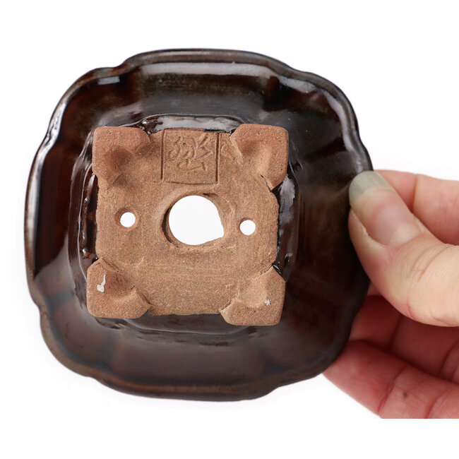 Pot à bonsaï carré marron par Seto - 90 x 90 x 45 mm