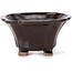 Pot à bonsaï carré marron par Seto - 90 x 90 x 50 mm