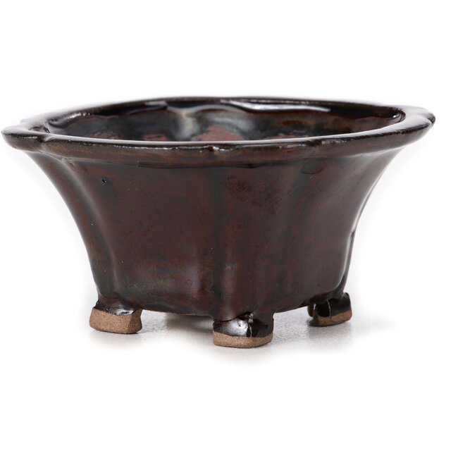 Pot à bonsaï carré marron par Seto - 90 x 90 x 50 mm