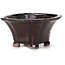 Pot à bonsaï carré marron par Seto - 90 x 90 x 50 mm