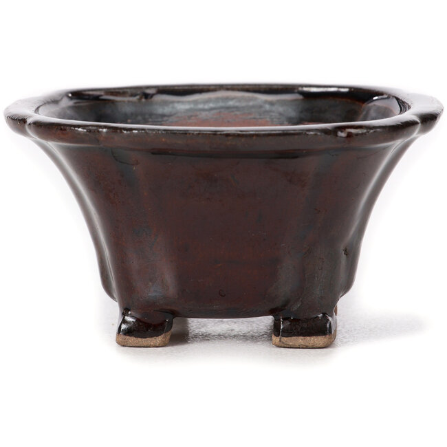 Vaso bonsai quadrato marrone di Seto - 90 x 90 x 50 mm