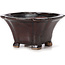 Square brown bonsai pot by Seto - 90 x 90 x 50 mm