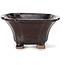 Square brown bonsai pot by Seto - 90 x 90 x 50 mm