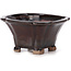 Square brown bonsai pot by Seto - 90 x 90 x 50 mm