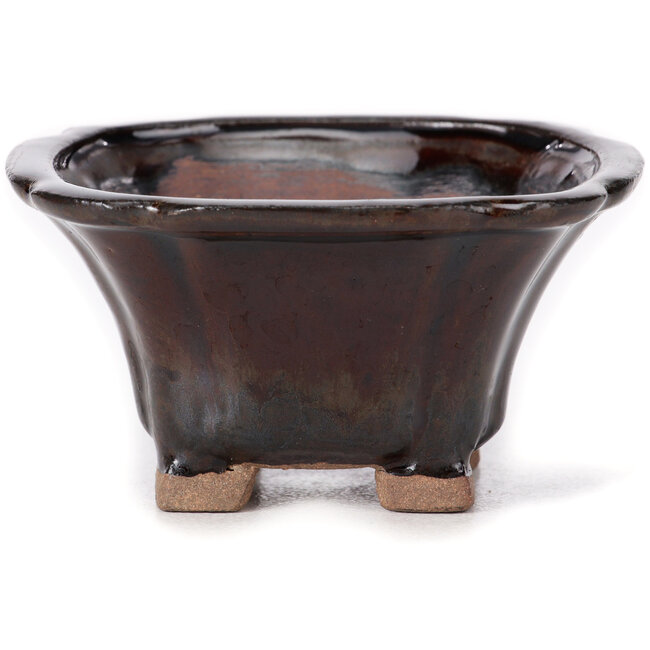 Pot à bonsaï carré marron par Seto - 90 x 90 x 50 mm