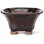 Square brown bonsai pot by Seto - 90 x 90 x 50 mm