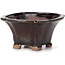 Square brown bonsai pot by Seto - 90 x 90 x 50 mm