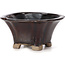 Square brown bonsai pot by Seto - 90 x 90 x 45 mm