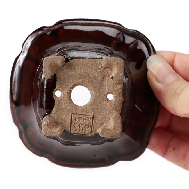Vaso bonsai quadrato marrone di Seto - 90 x 90 x 50 mm