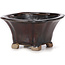 Pot à bonsaï carré marron par Seto - 90 x 90 x 45 mm