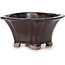 Square brown bonsai pot by Seto - 90 x 90 x 45 mm