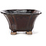 Square brown bonsai pot by Seto - 90 x 90 x 45 mm