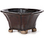 Pot à bonsaï carré marron par Seto - 90 x 90 x 45 mm