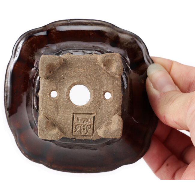 Vaso bonsai quadrato marrone di Seto - 90 x 90 x 45 mm