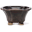 Square brown bonsai pot by Seto - 90 x 90 x 45 mm