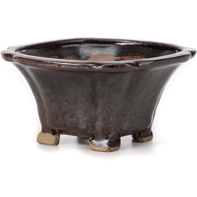 Pot à bonsaï carré marron par Seto - 90 x 90 x 45 mm
