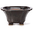 Pot à bonsaï carré marron par Seto - 90 x 90 x 45 mm