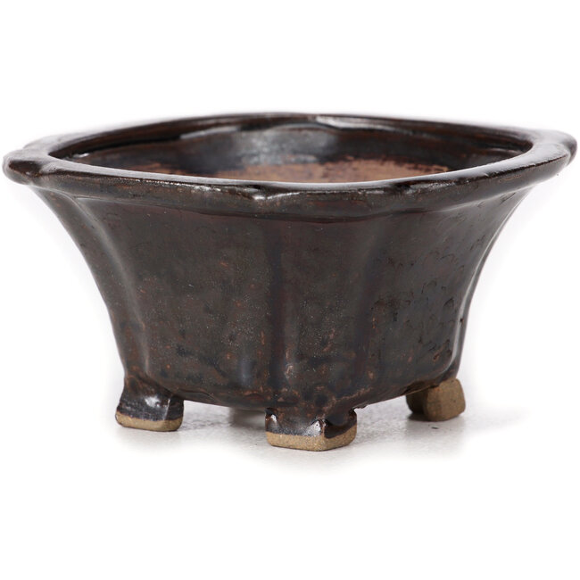 Pot à bonsaï carré marron par Seto - 90 x 90 x 45 mm