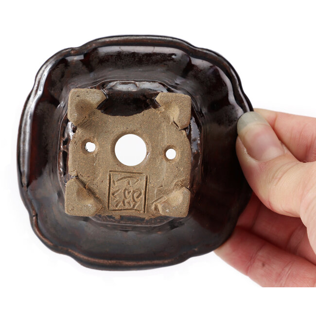 Pot à bonsaï carré marron par Seto - 90 x 90 x 45 mm