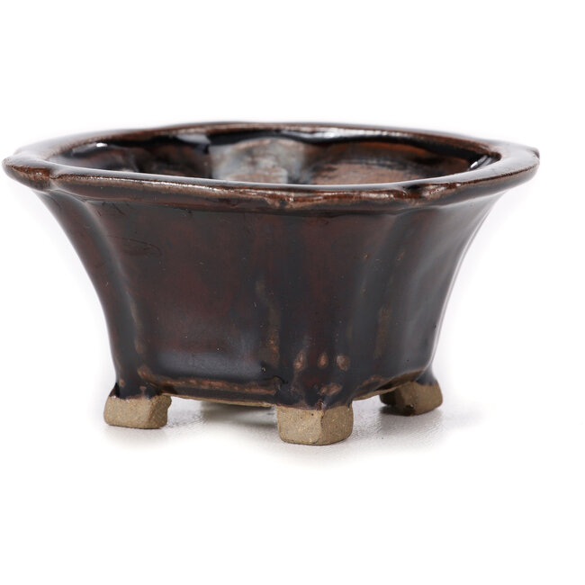 Maceta de bonsái cuadrada marrón de Seto - 90 x 90 x 45 mm