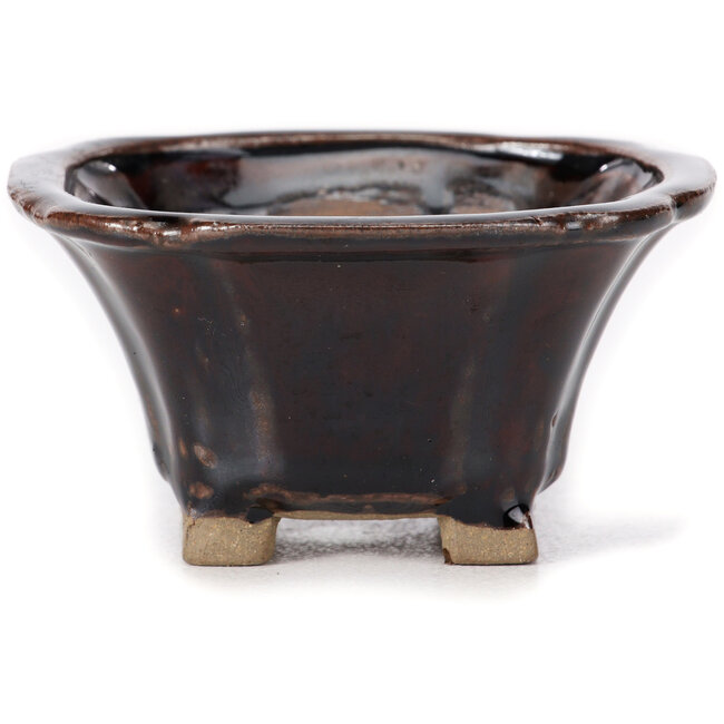 Maceta de bonsái cuadrada marrón de Seto - 90 x 90 x 45 mm