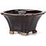 Square brown bonsai pot by Seto - 90 x 90 x 45 mm