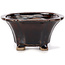 Square brown bonsai pot by Seto - 90 x 90 x 45 mm