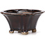 Square brown bonsai pot by Seto - 90 x 90 x 45 mm