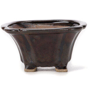 Seto Pot à bonsaï marron carré de 90 mm par Seto, Japon