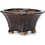 Square brown bonsai pot by Seto - 90 x 90 x 45 mm