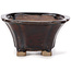 Square brown bonsai pot by Seto - 90 x 90 x 45 mm