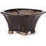 Pot à bonsaï carré marron par Seto - 90 x 90 x 45 mm