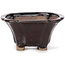 Pot à bonsaï carré marron par Seto - 90 x 90 x 45 mm