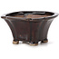 Square brown bonsai pot by Seto - 90 x 90 x 45 mm