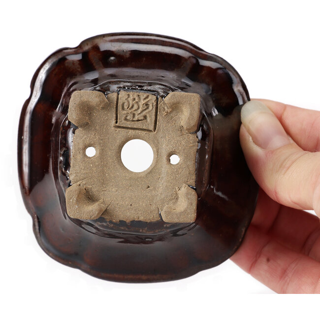 Vaso bonsai quadrato marrone di Seto - 90 x 90 x 45 mm