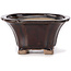Pot à bonsaï carré marron par Seto - 90 x 90 x 45 mm