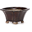 Square brown bonsai pot by Seto - 90 x 90 x 45 mm