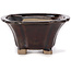 Square brown bonsai pot by Seto - 90 x 90 x 45 mm