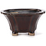 Square brown bonsai pot by Seto - 90 x 90 x 45 mm