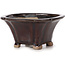 Pot à bonsaï carré marron par Seto - 90 x 90 x 45 mm