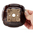 Pot à bonsaï carré marron par Seto - 90 x 90 x 45 mm