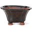 Square brown bonsai pot by Seto - 90 x 90 x 45 mm