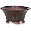 Square brown bonsai pot by Seto - 90 x 90 x 45 mm