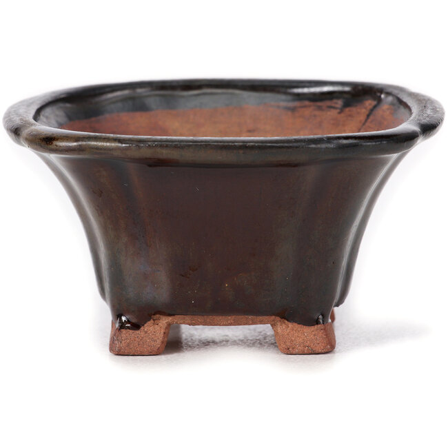 Vaso bonsai quadrato marrone di Seto - 90 x 90 x 45 mm