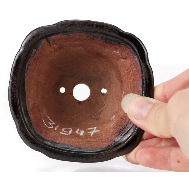 Vaso bonsai quadrato marrone di Seto - 90 x 90 x 45 mm