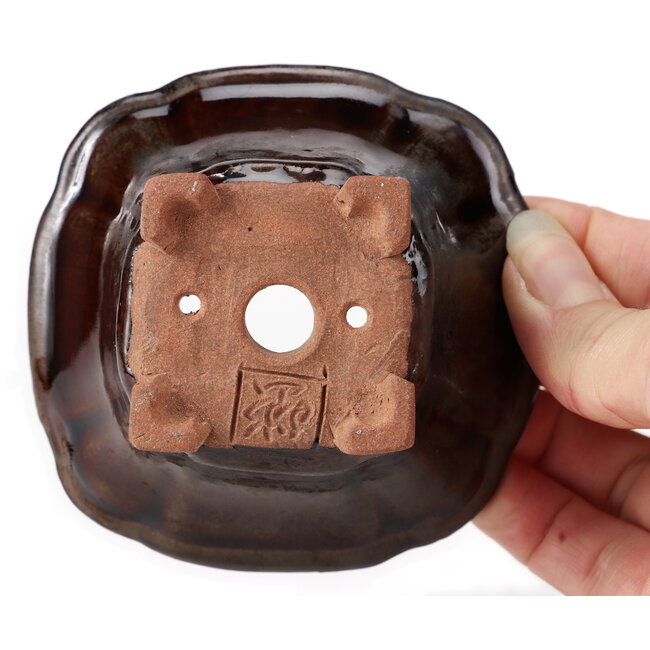 Maceta de bonsái cuadrada marrón de Seto - 90 x 90 x 45 mm