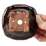 Pot à bonsaï carré marron par Seto - 90 x 90 x 45 mm