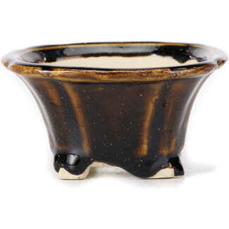 Seto Pot à bonsaï marron carré de 90 mm par Seto, Japon
